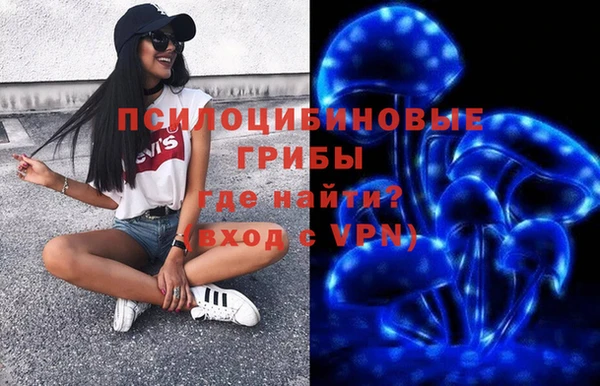 Альфа ПВП Мегион